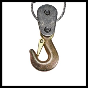 Detailaufnahme: Einhell Handhebelseilzug TC-LW 1000 mit Lasthaken und Drahtseil.