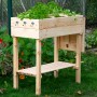 Frühbeet Tisch mit Ablage (Größe M) aus Holz, bepflanzt mit Kräutern, im Garten.