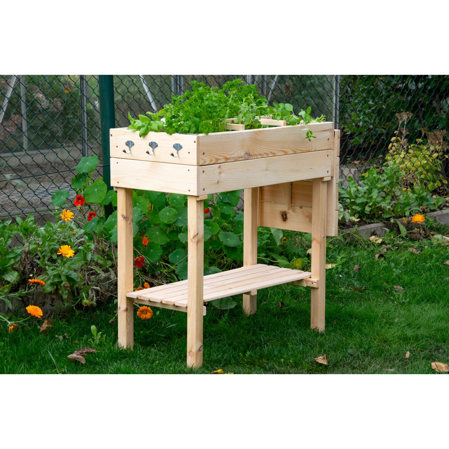 Frühbeet Tisch mit Ablage (Größe M) aus Holz, bepflanzt mit Kräutern, im Garten.