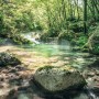 Komar Vlies Fototapete Tranquil Pool: Wald Bachlauf mit Steinen und grünem Ufer, 400x250 cm.