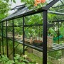Schwarzes Halls Gewächshaus Burford 610 mit Pflanzen und Regalen im Garten.