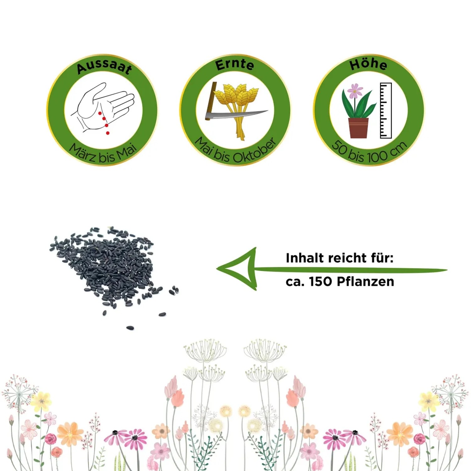 Abbildung von Zitronenmelisse Samen mit Aussaat-, Ernte- und Höhenangaben.