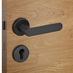 SOTECH Türdrücker SAM Anthrazit Rosettengarnitur mit Profilzylinder auf heller Holztür.
