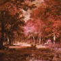Komar Fototapete Vlies Autumna Rosso (200x280 cm) mit Waldmotiv in Herbstfarben.