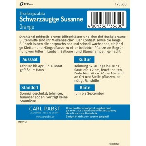 Pabst Saatgut: Schwarzäugige Susanne, orange-gelbe Blumensamen für ca. 10 Pflanzen.