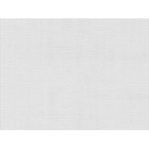 Detailansicht der weißen, überstreichbaren Meistervlies Protect Vliestapete mit feiner Struktur.