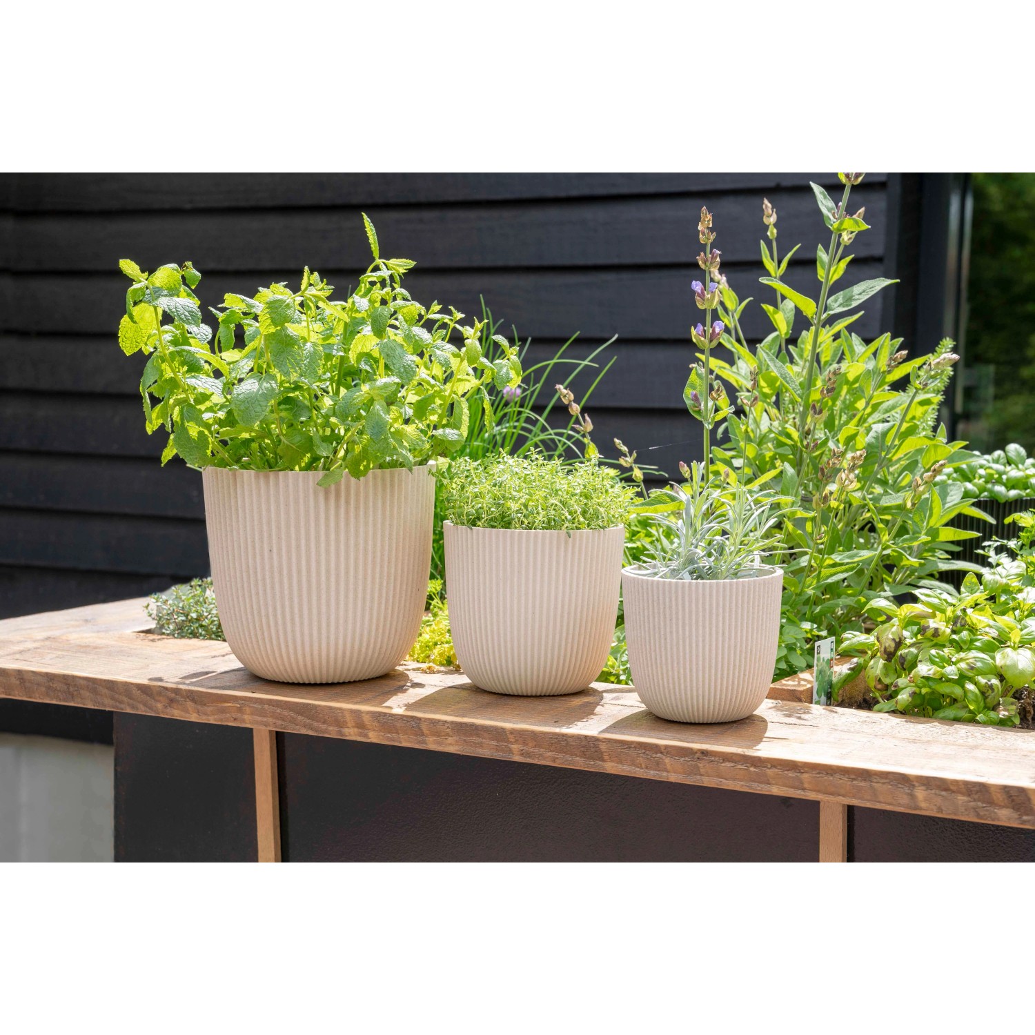 Capi Pflanztopf Kugel Groove 13 cm x 12 cm Beige kaufen bei OBI