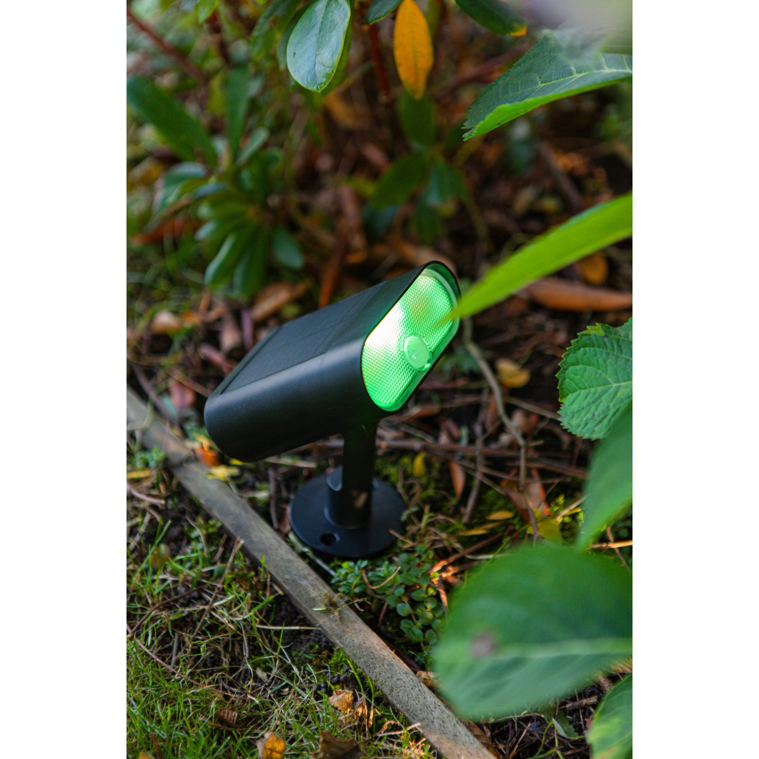 Schwarze Lutec LED Solar-Wegeleuchte Ginbo mit grünem Licht im Garten.