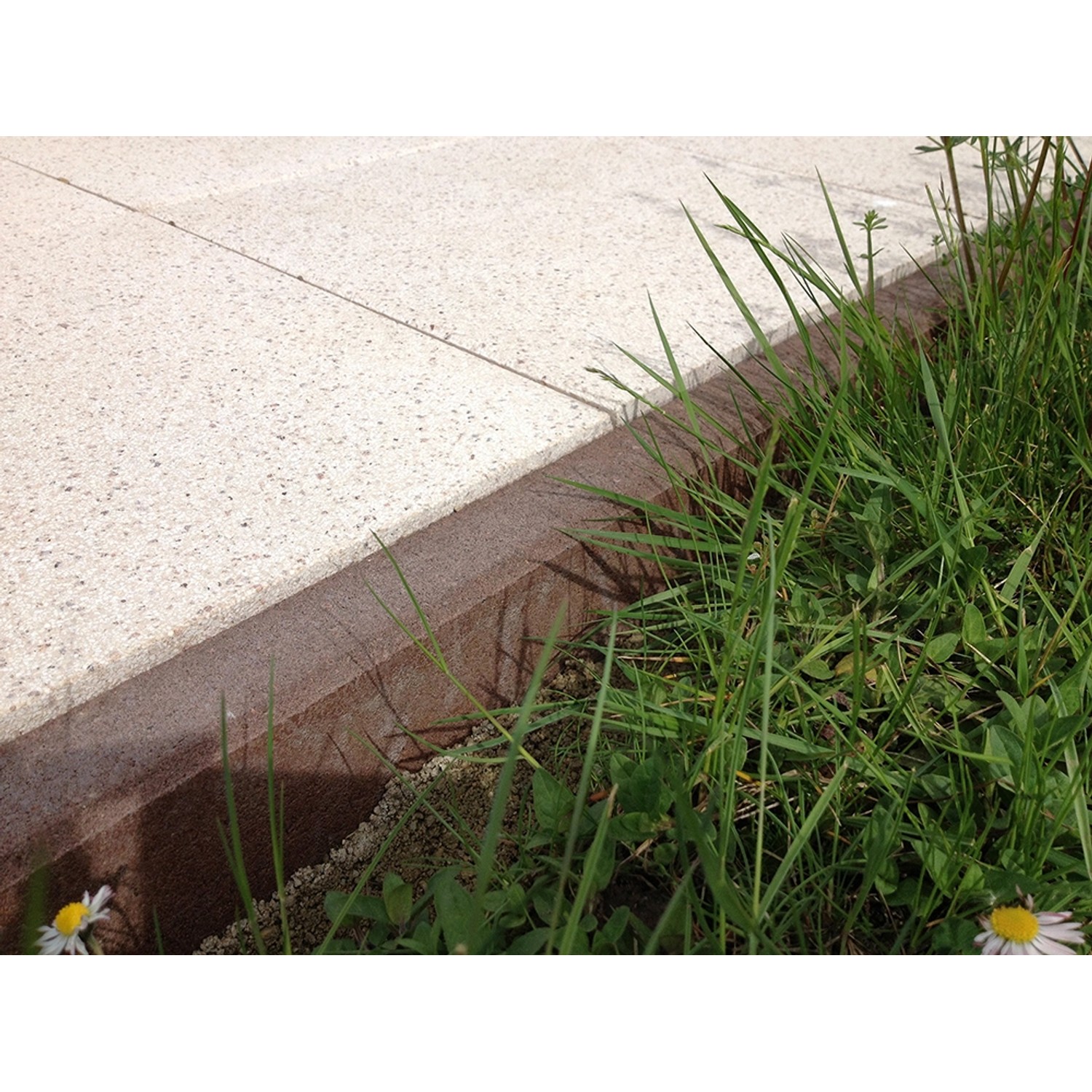 Brauner Minirandstein (50x15x5 cm) aus Beton als Beetbegrenzung im Garten.