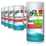 Bayzid Chlorgranulat für Pools, 12x1kg Set, zur schnellen Desinfektion im Pool. Weiße Behälter mit blau-grünem Etikett.