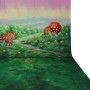 Walimex Pro Motiv-Stoffhintergrund 'Alice' 3X6M Fotohintergrund Video Kamera_8