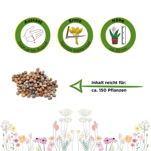 Samen für Deine Gartenwelt Rettich Ostergruß Rosa, ausreichend für ca. 150 Pflanzen.