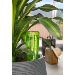 Scheurich Bewässerungsfigur Copa M Green (150ml) im Topf mit Pflanze.