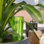 Scheurich Bewässerungsfigur Copa M Green (150ml) im Topf mit Pflanze.