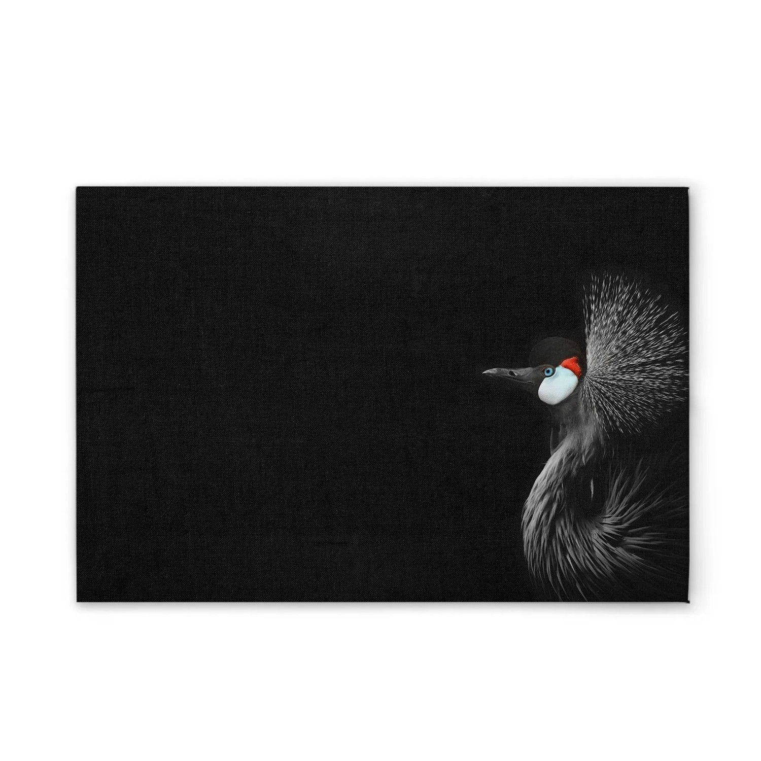 Tadessi Leinwandbild - M1-No.51109 - Tiere Kranich - 90 x 60 cm - Hochformat