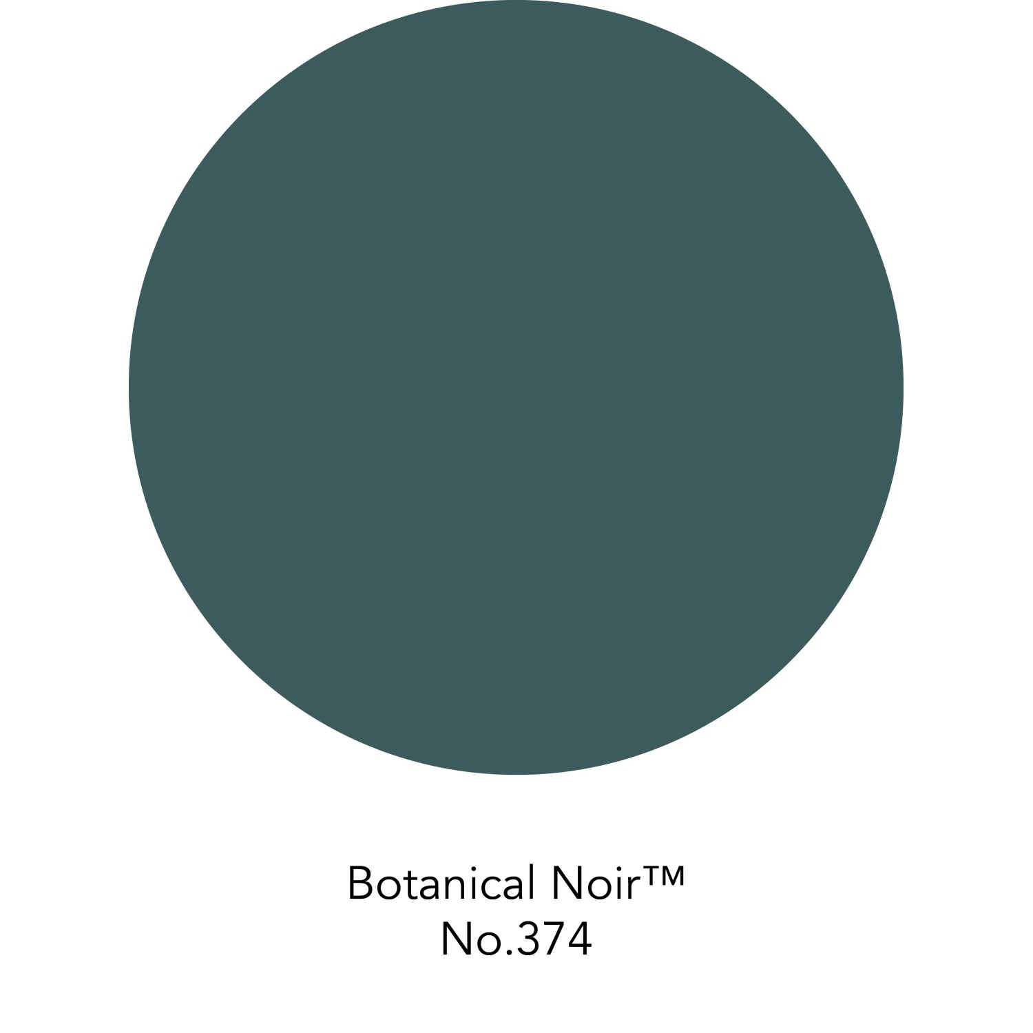 Farbfeld der matten Wandfarbe ELLE DECORATION Botanical Noir No. 374.