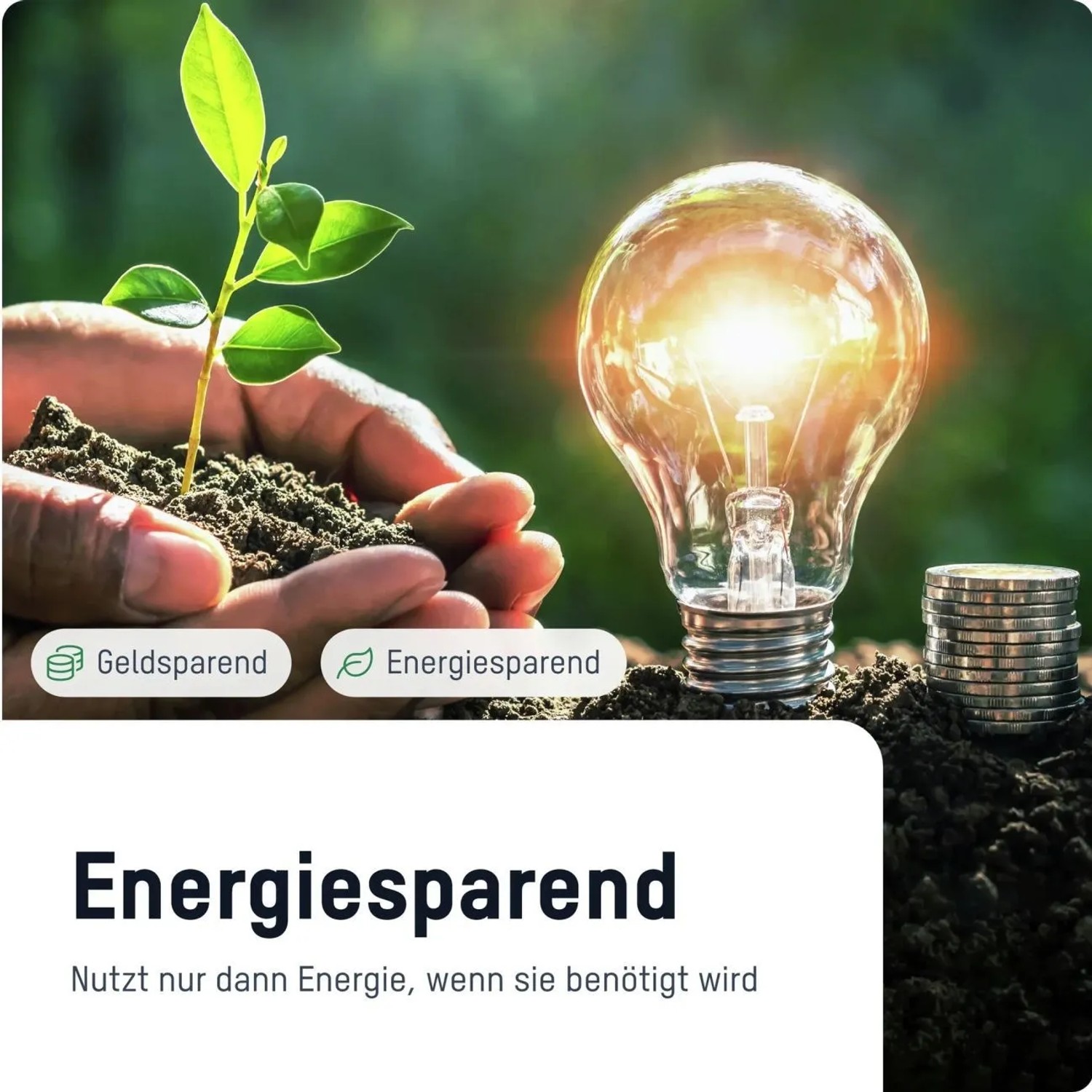 Energiesparen: Hand mit Pflanze, Glühbirne und Geldstapel. Zeitschaltuhr für Bewässerung nutzen.