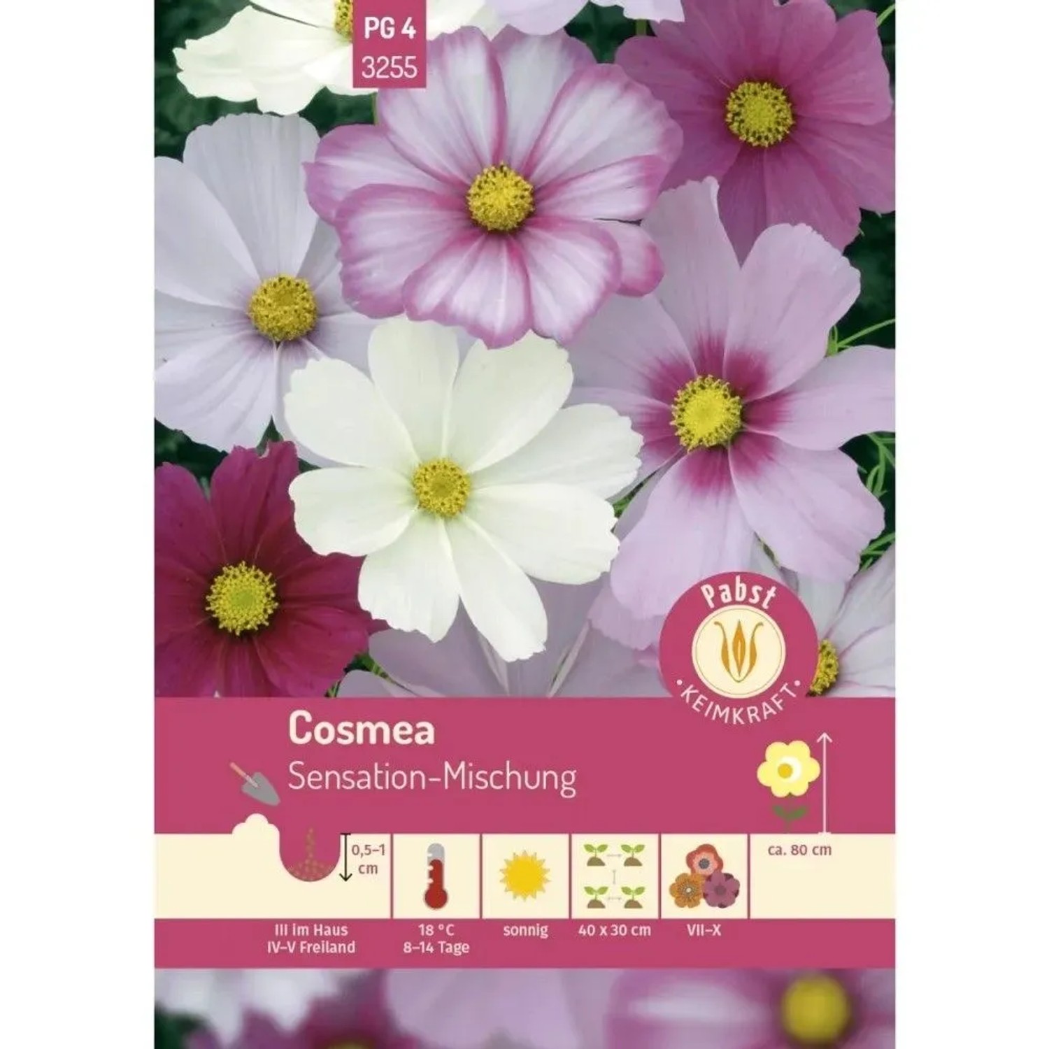 Pabst Keimkraft Cosmea Sensation-Mischung Saatgut