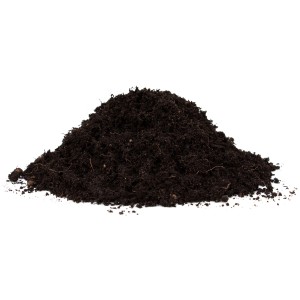 Erdhaufen Floragard Bio-Kräutererde Aromatisch, torffreie Kräutererde für aromatische Kräuter.