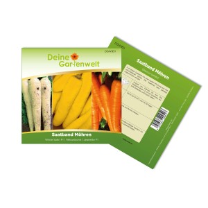 Saatband mit 3 Sorten Speisemöhren Samen für den Garten.