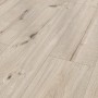 Classen Laminat XL, 8mm, wasserfest, Eiche Greige Hell. Laminatboden in Holzoptik.