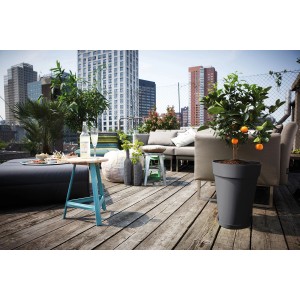 Anthrazitfarbener Elho Untersetzer Loft Urban (Ø 41 cm) unter einem Topf mit Orangenbaum auf einer Dachterrasse.