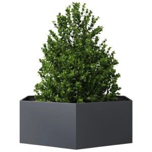 vidaXL Pflanzkübel Anthrazit Sechseckig 138x120x45 Stahl 851138