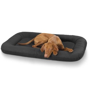Knuffelwuff Hundebett Jerry XXL, 120x85, Schwarz, mit Hund im Hundekörbchen.