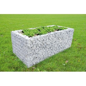 Gabionen-Hochbeet (100x100x80cm) mit Pflanzen gefüllt im Garten.