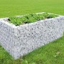 Gabionen-Hochbeet (100x100x80cm) mit Pflanzen gefüllt im Garten.