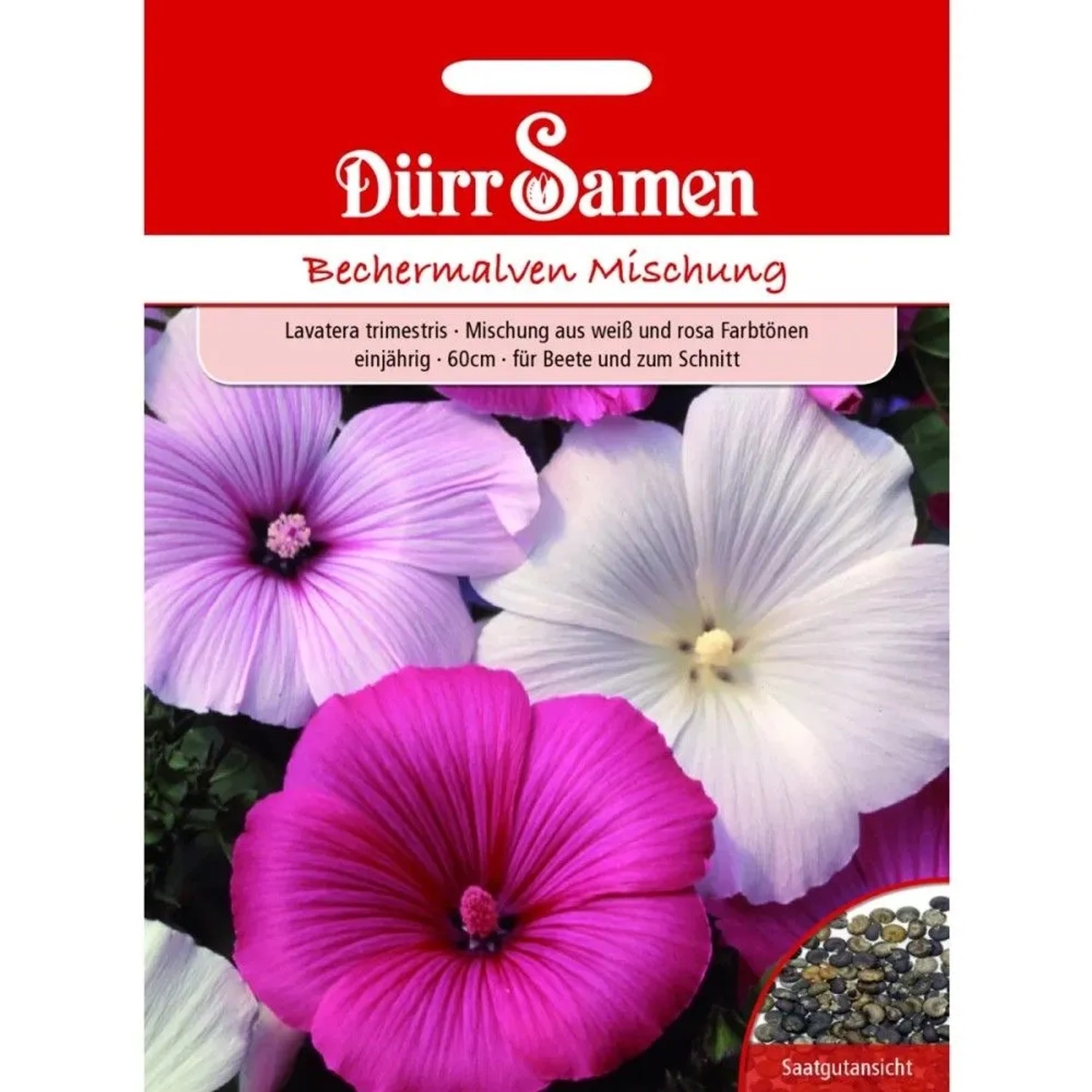 Dürr Samen Bechermalve Mischung Blumensamen: Packung mit weißen, rosa und pinken Lavatera trimestris Blüten, inkl. Samenansicht.