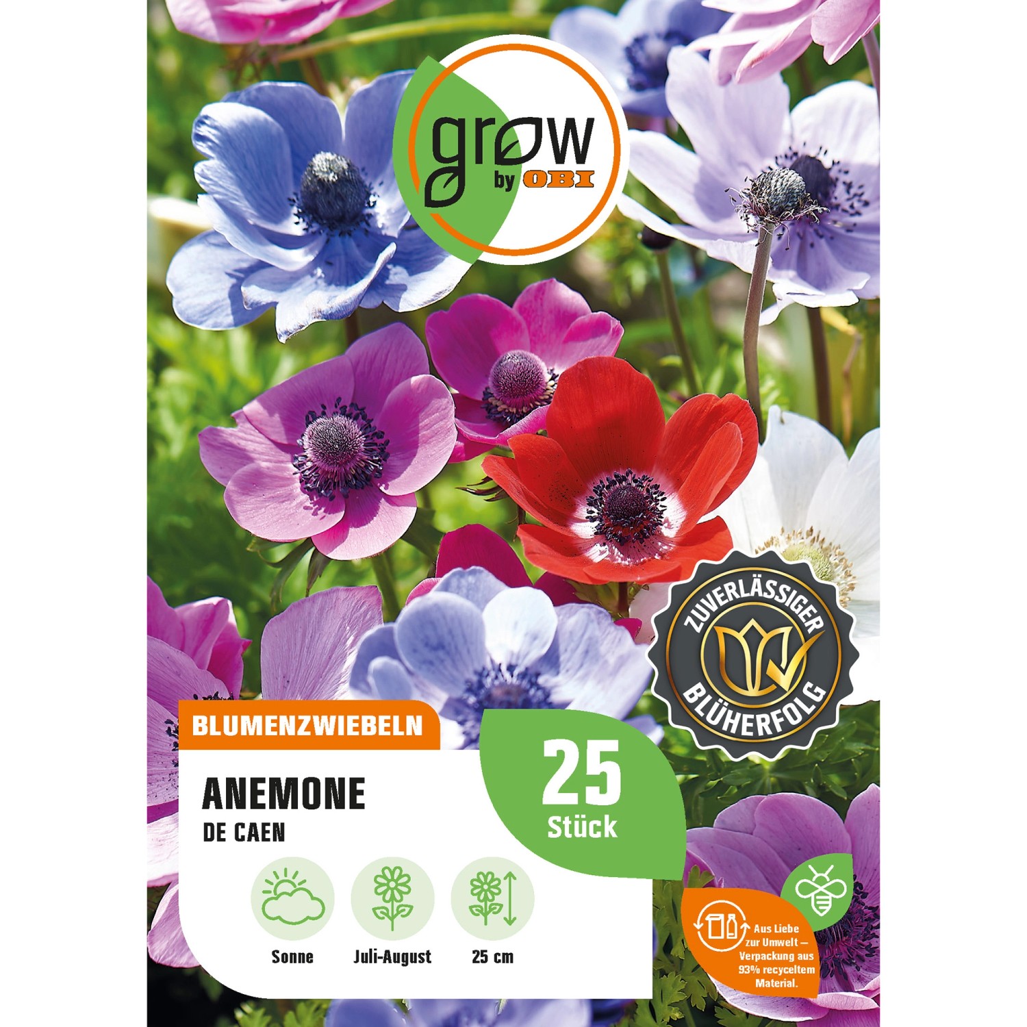 GROW by OBI Anemone De Caen Höhe ca. 25 cm Anemone coronaria günstig online kaufen