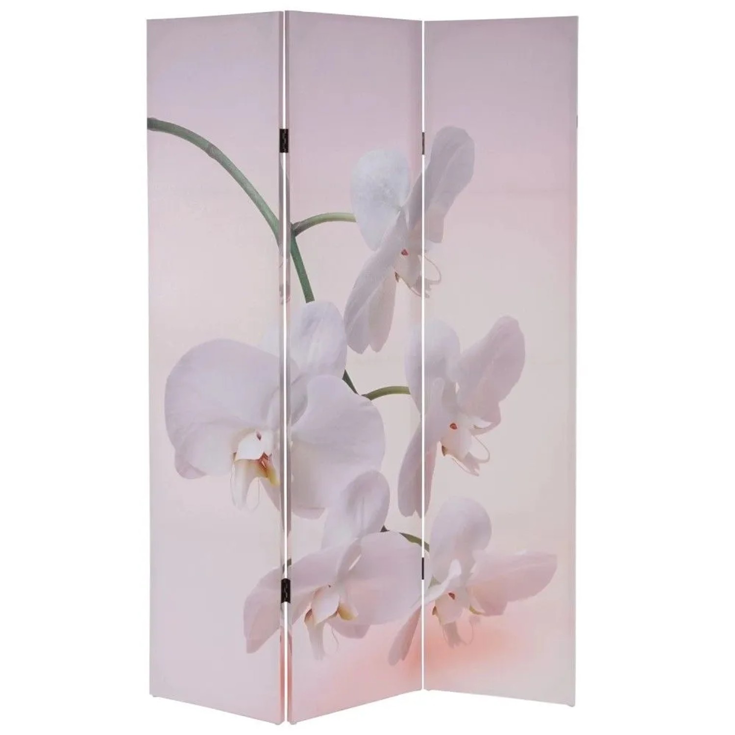 MCW Foto-Paravent Bagheria Orchidee
