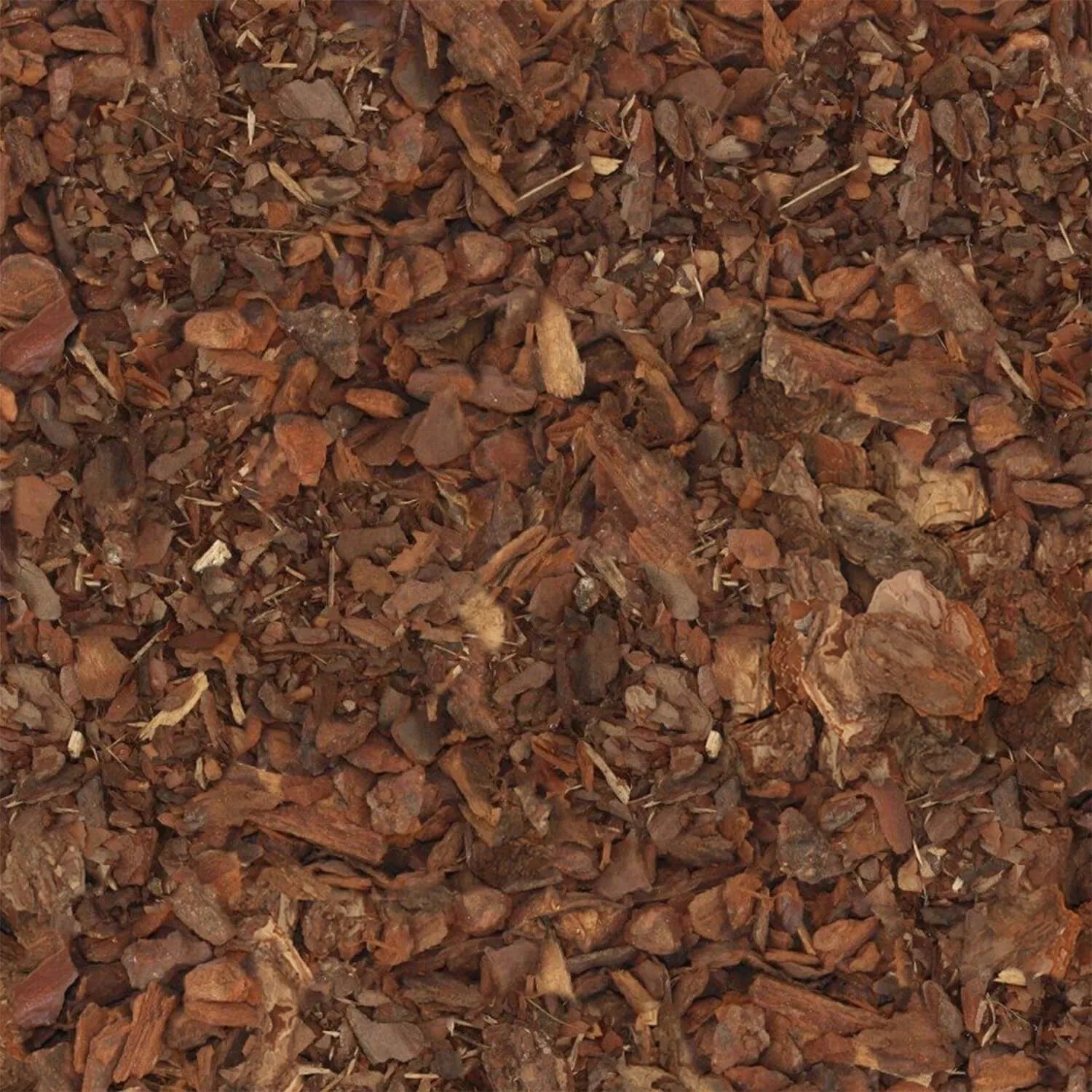 Rotbrauner Kiefer Rindenmulch, grob gehäckselt, als Bodenabdecker für den Garten.