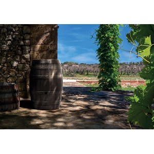 Braune Waterform Regentonne Botaqua 250 l in Fassoptik für den Garten.