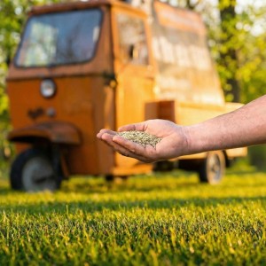 Hand hält FUXTEC Rasensamen für Spiel- & Sportrasen über grünem Rasen. Ideal für Neu- und Nachsaat, belastbar.