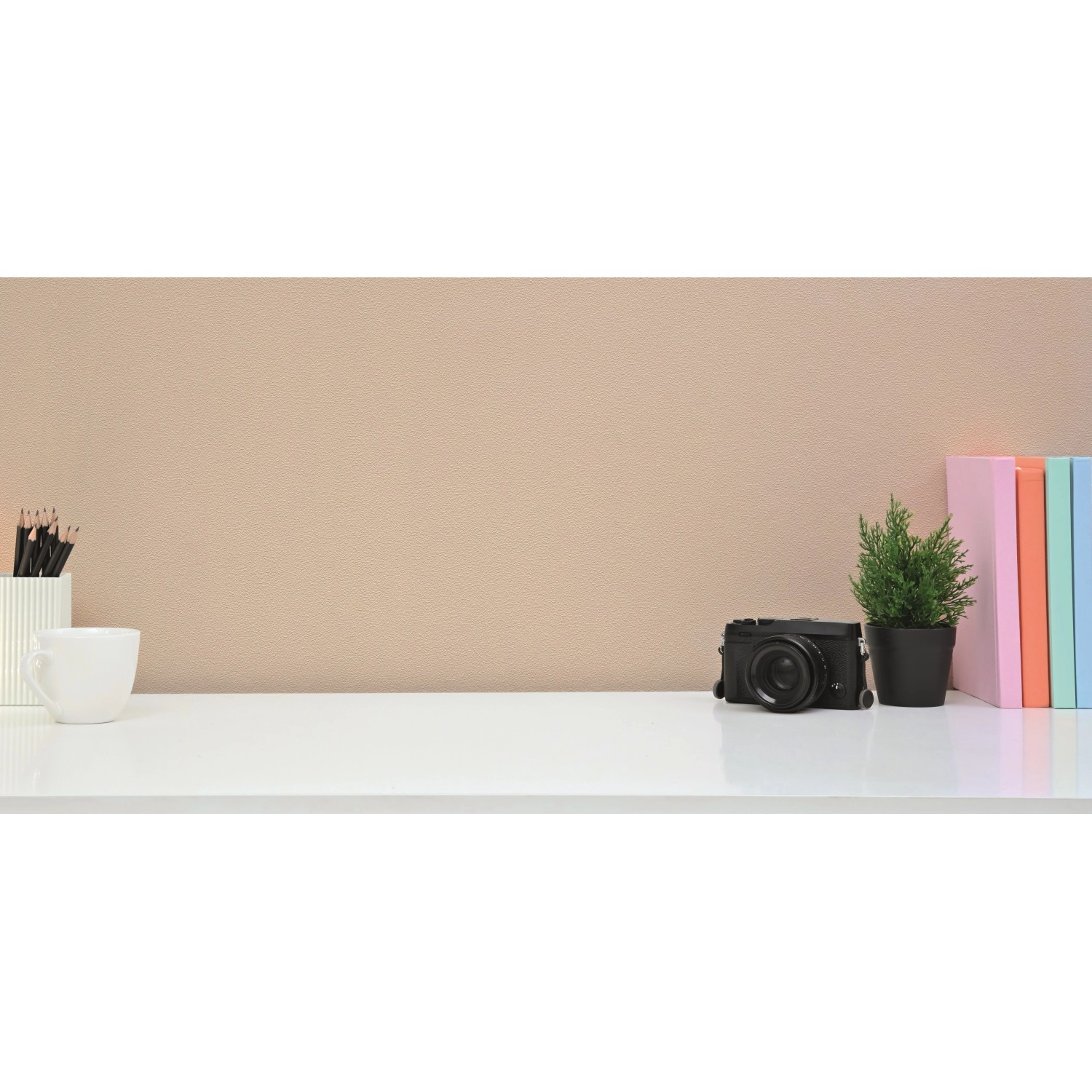 Beige Vliestapete Meistervlies Protect Color an Wand mit Deko-Elementen wie Kamera und Pflanze.