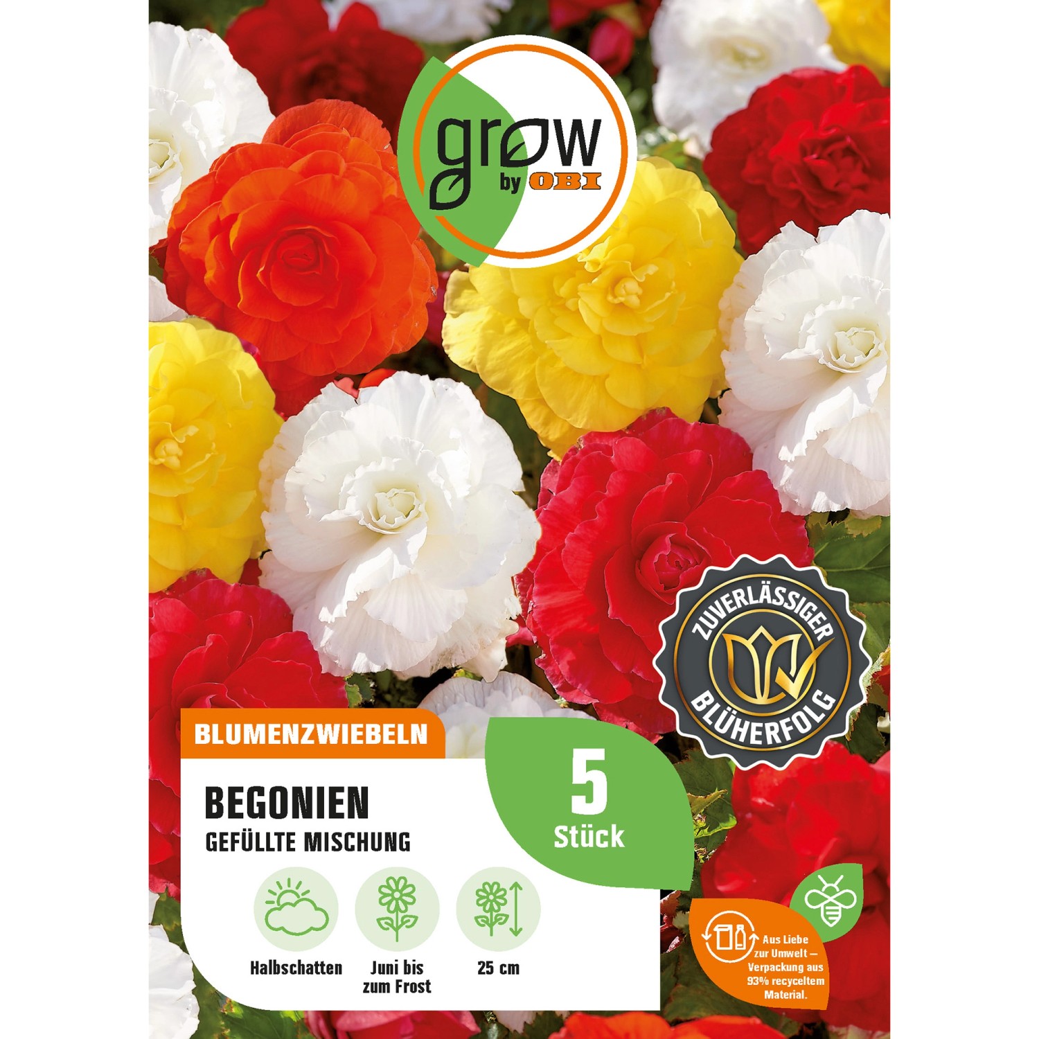 GROW by OBI Begonien Gefüllt Mehrfarbig Höhe ca. 25 cm Begonia double günstig online kaufen