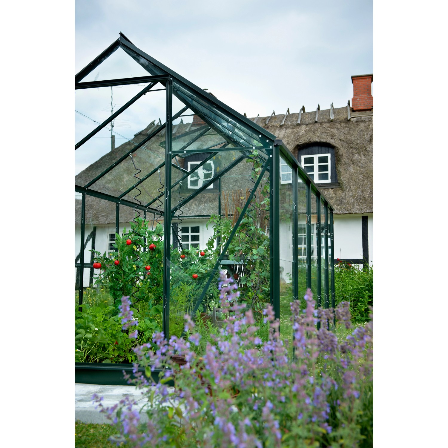 Grünes Halls Gewächshaus Popular 106 (6,2 m²) mit Pflanzen vor einem Haus.