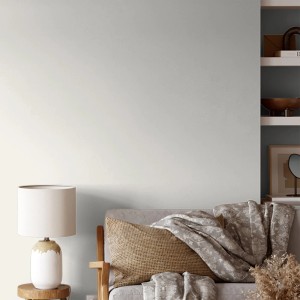 Wand in Weiß mit V&CO Premium-Innenfarbe „Leere Leinwand“ gestrichen, matte Oberfläche.