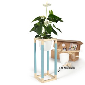 DIY Pflanzständer Mittel von CREATE! by OBI mit Pflanze im Topf, Holz natur/blau. Bausatz im Hintergrund.