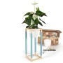 DIY Pflanzständer Mittel von CREATE! by OBI mit Pflanze im Topf, Holz natur/blau. Bausatz im Hintergrund.