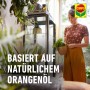 Frau mit Zimmerpflanze, Compo Insektenmittel Prev-AM basiert auf natürlichem Orangenöl.