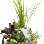 OBI Wasserpflanzen Duftend 6er-Pack im Topf, verschiedene Sorten für den Gartenteich.