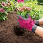 Gartenhandschuhe Pink Gr. 7 beim Einpflanzen einer Blume im Garten.