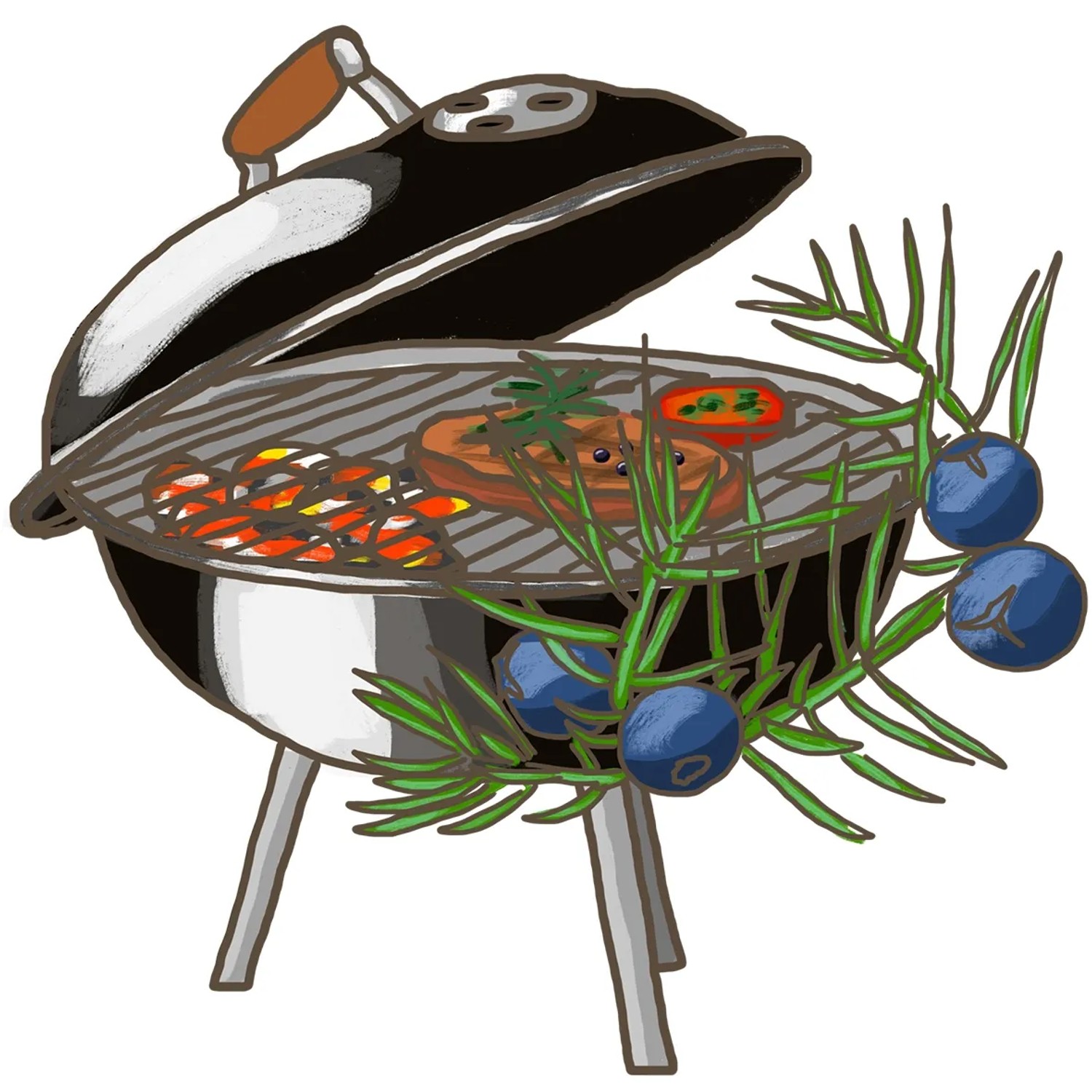 Illustration eines Grills mit Grillgut und Blu Grill-Wacholder (Topf-Ø 12cm) als Küchenkraut.