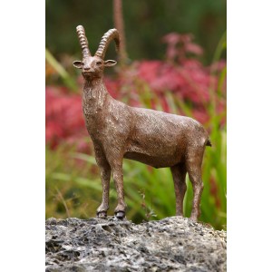 Bronze-Skulptur Steinbock von Rottenecker für die Gartendeko. Wetterfest und detailreich.
