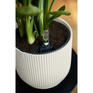 Seidenweißer Elho Blumentopf Vibes Fold (Ø 22 cm) mit Rillenstruktur und Pflanze.