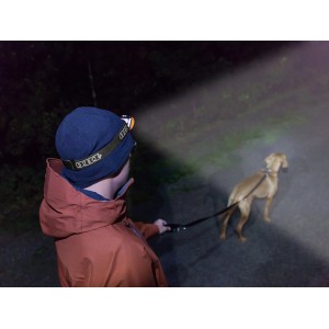 Person mit COB LED Stirnlampe beim abendlichen Spaziergang mit Hund.
