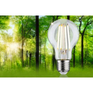 Paulmann E27 LED Leuchtmittel in Glühlampenform, 2,5 W, warmweißes Licht für Wohnräume.